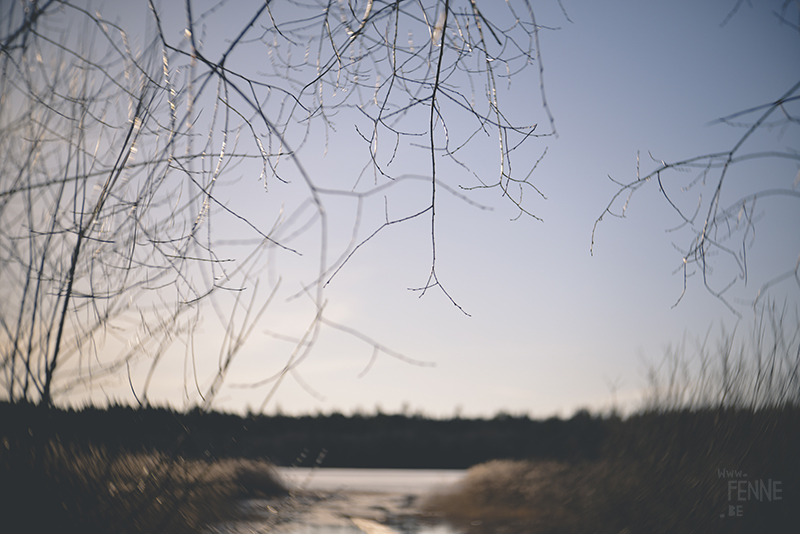 Wednesday Wanderings (17), nature photography, photography blog, nature blogger, Sweden, Dalarna, www.Fenne.be