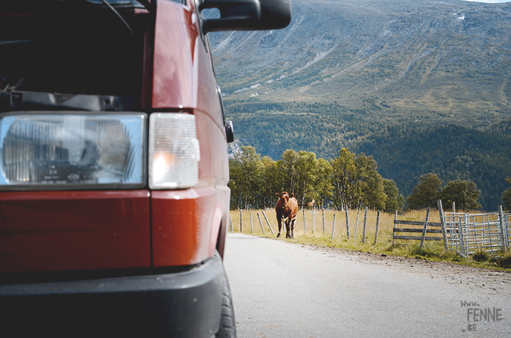 Road trip Norway with a Volkswagen California campervan, www.fenne.be