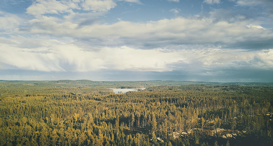 Early autumn in Sweden, nature photography, www.Fenne.be