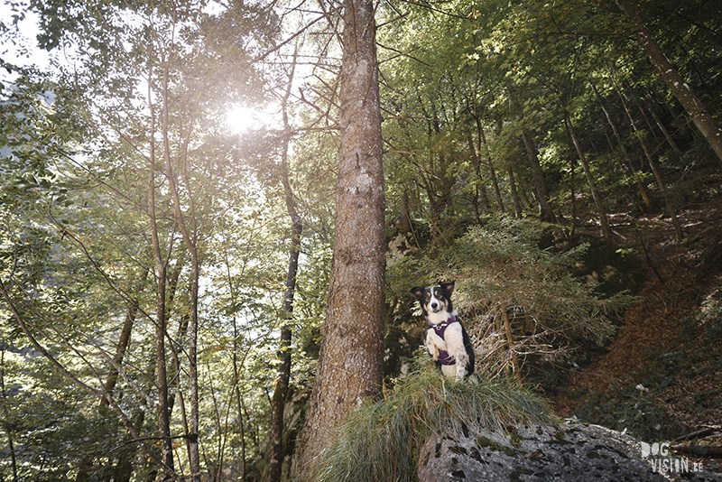 Exploring Slovenia, travel photography, www.Fenne.be