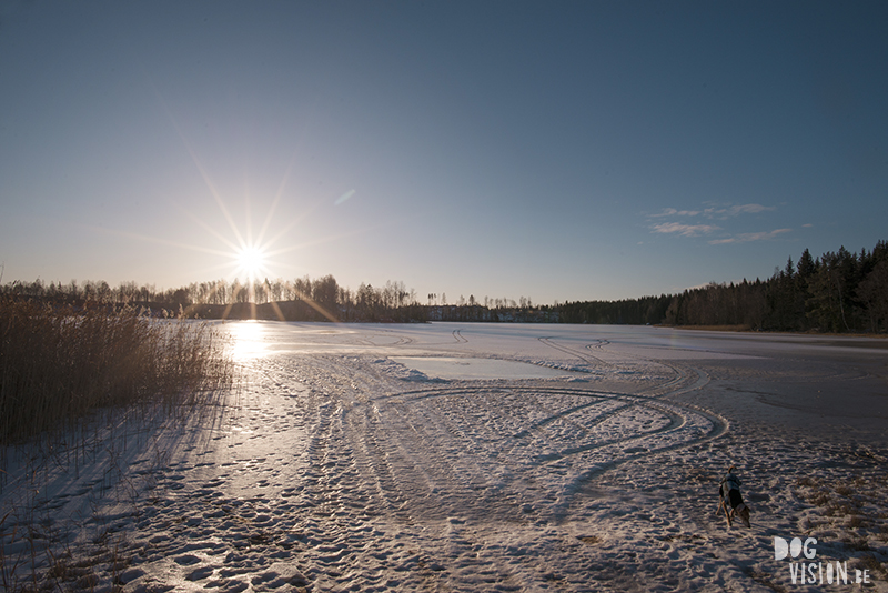 Winter in Sweden, wednesday wanderings in the forest and around the lakes, slow living, nature lover, artist, www.Fenne.be