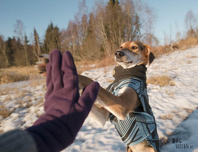 Winter in Sweden, wednesday wanderings in the forest and around the lakes, slow living, nature lover, artist, www.Fenne.be