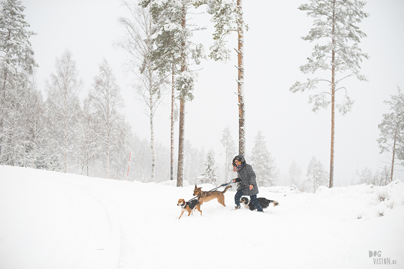 Winter in Sweden, wednesday wanderings in the forest and around the lakes, slow living, nature lover, artist, www.Fenne.be