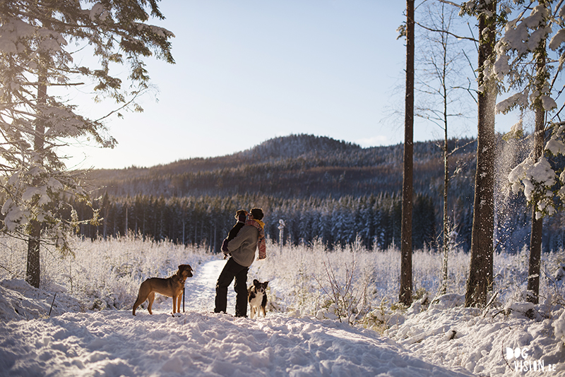 Wednesday Wanderings 22, wanderlust, nature photography, hiking in Sweden, life with dogs in Sweden, www.Fenne.be