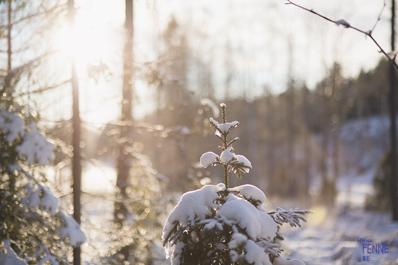 Countryside living in Dalarna Sweden, photographer artist Sweden, nordic nature photography, www.Fenne.be