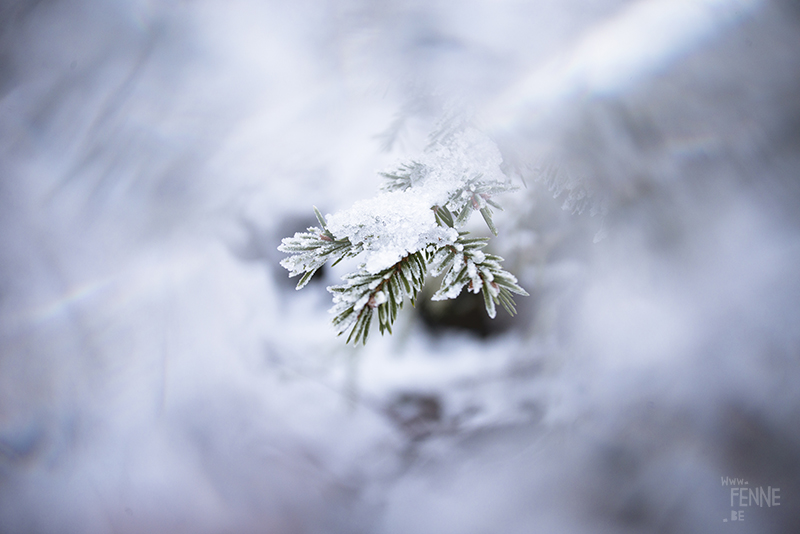 Countryside living in Dalarna Sweden, photographer artist Sweden, nordic nature photography, www.Fenne.be