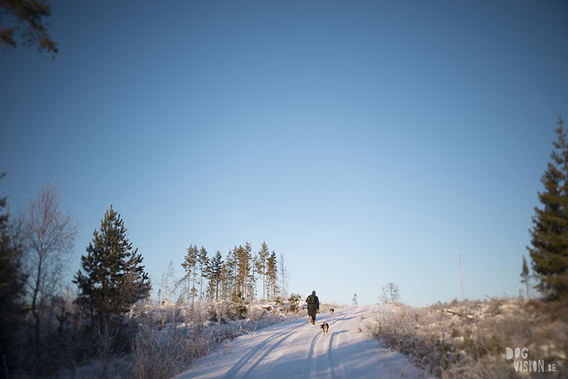 Countryside living in Dalarna Sweden, photographer artist Sweden, nordic nature photography, www.Fenne.be