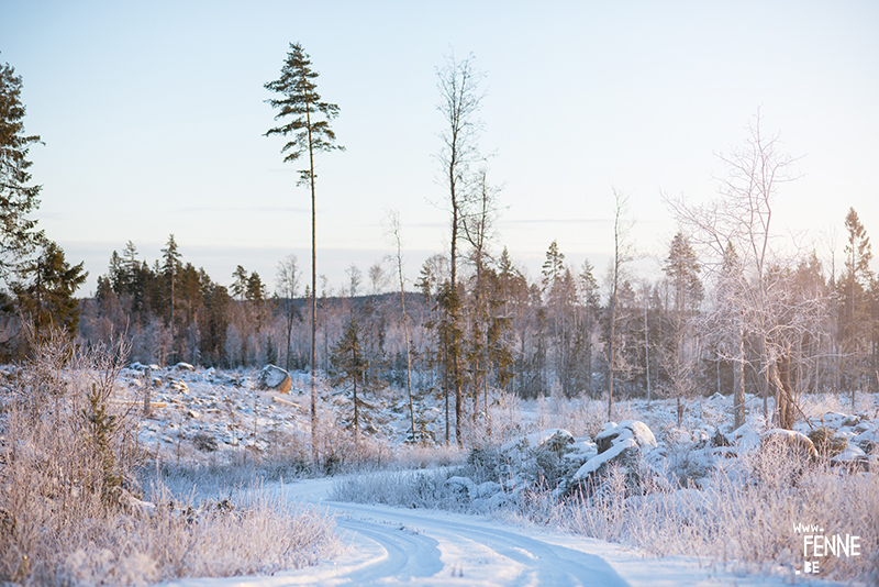 Countryside living in Dalarna Sweden, photographer artist Sweden, nordic nature photography, www.Fenne.be