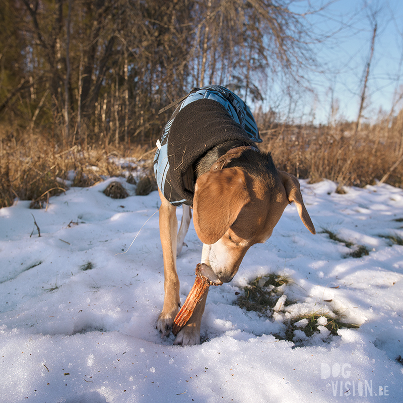 Wednesday Wanderings 22, wanderlust, nature photography, hiking in Sweden, life with dogs in Sweden, www.Fenne.be