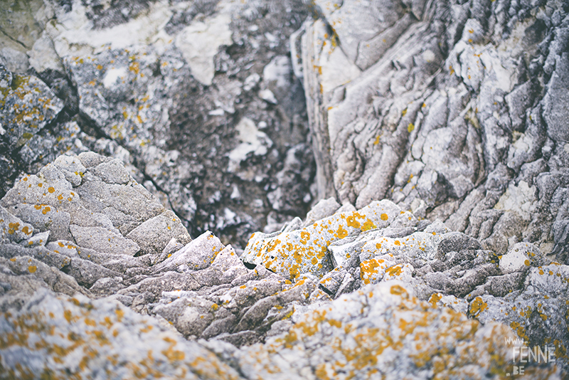 Textures of Gotland, nature photography Sweden, Visby, traveling, artist, Europe, www.Fenne.be