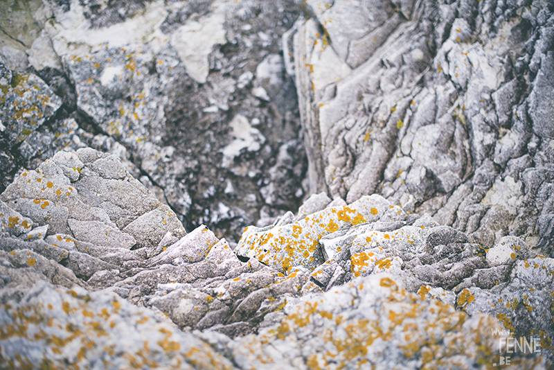 Textures of Gotland, nature photography Sweden, Visby, traveling, artist, Europe, www.Fenne.be