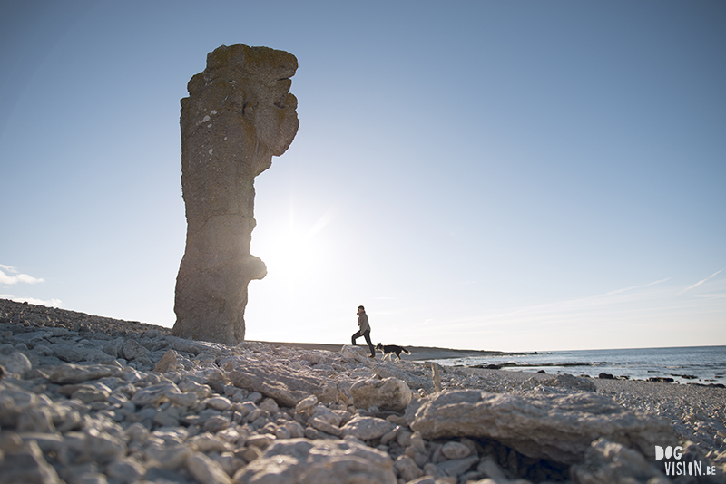 Textures of Gotland, nature photography Sweden, Visby, traveling, artist, Europe, www.Fenne.be