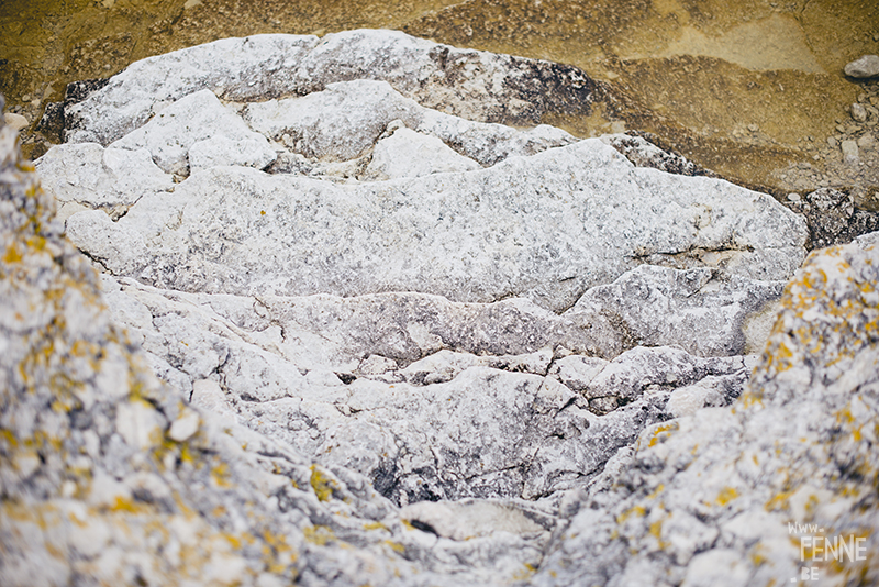 Textures of Gotland, nature photography Sweden, Visby, traveling, artist, Europe, www.Fenne.be