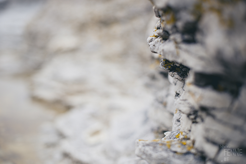 Textures of Gotland, nature photography Sweden, Visby, traveling, artist, Europe, www.Fenne.be