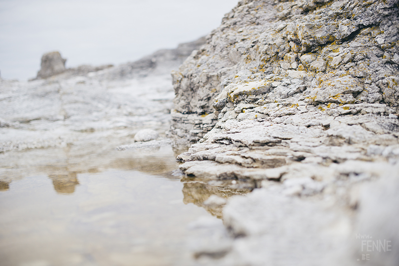 Textures of Gotland, nature photography Sweden, Visby, traveling, artist, Europe, www.Fenne.be