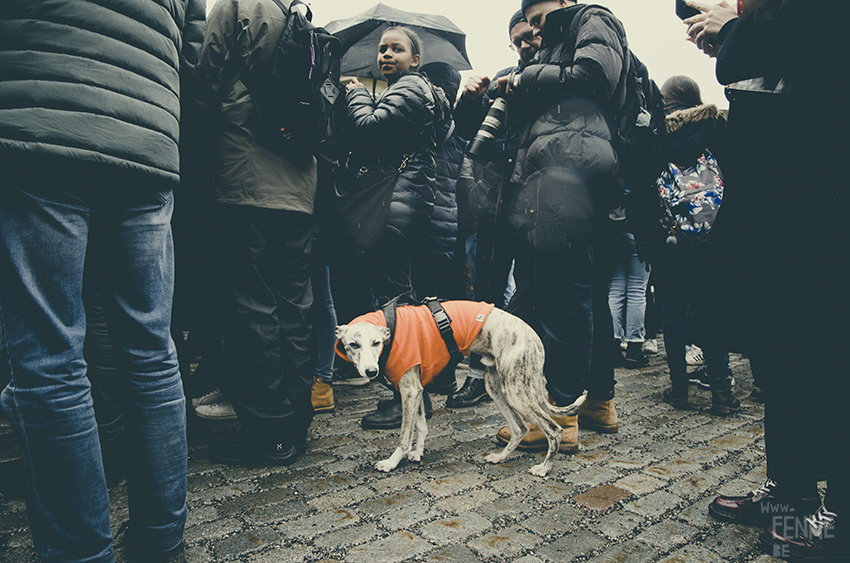#FridaysForFuture, climate action strike, Stockholm March 2019, Klimatstrejk, Greta Thunberg, www.Fenne.be
