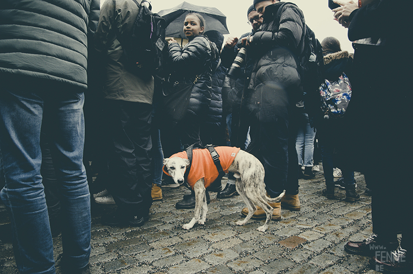 #FridaysForFuture, climate action strike, Stockholm March 2019, Klimatstrejk, Greta Thunberg, www.Fenne.be