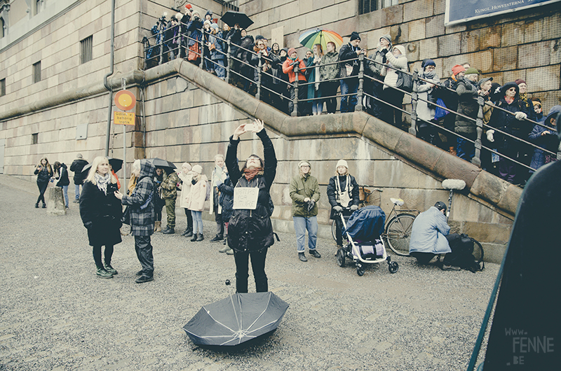 #FridaysForFuture, climate action strike, Stockholm March 2019, Klimatstrejk, Greta Thunberg, www.Fenne.be