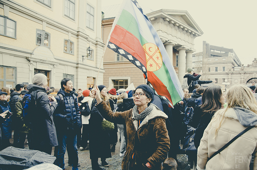 #FridaysForFuture, climate action strike, Stockholm March 2019, Klimatstrejk, Greta Thunberg, www.Fenne.be