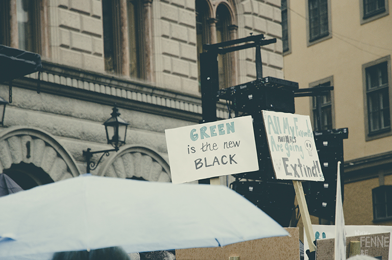 #FridaysForFuture, climate action strike, Stockholm March 2019, Klimatstrejk, Greta Thunberg, www.Fenne.be