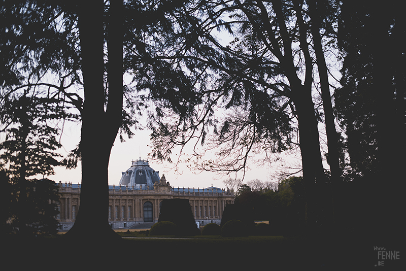 Africa Museum, Tervuren, Belgium, www.Fenne.be