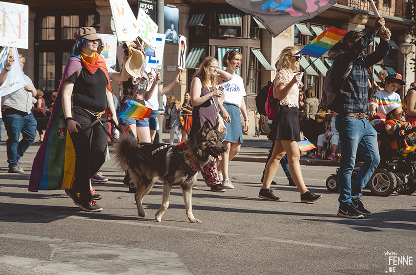 Stockholm Pride 2019, LGBTQ Europe, Pride Parade Stockholm documented, www.Fenne.be