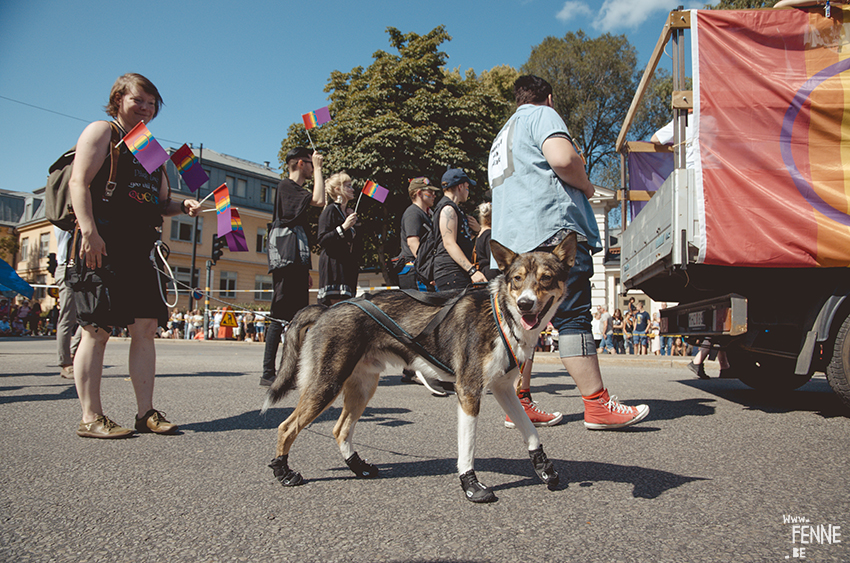 Stockholm Pride 2019, LGBTQ Europe, Pride Parade Stockholm documented, www.Fenne.be