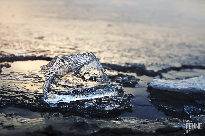 Frozen. Ice photography, nature photography, Sweden, Dalarna, artist Fenne Kustermans. www.Fenne.be