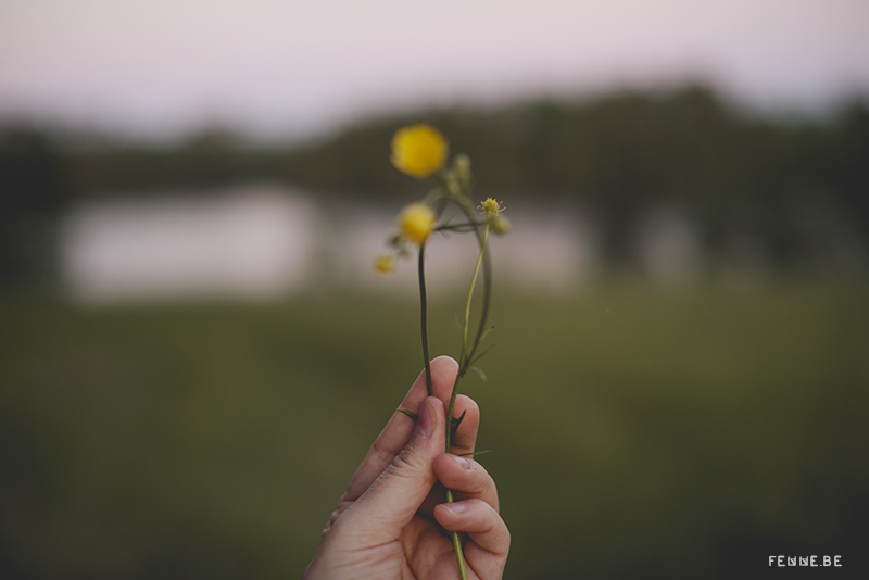 Midsommar Sverige, summer solstice in Sweden, portrait photography www.Fenne.be