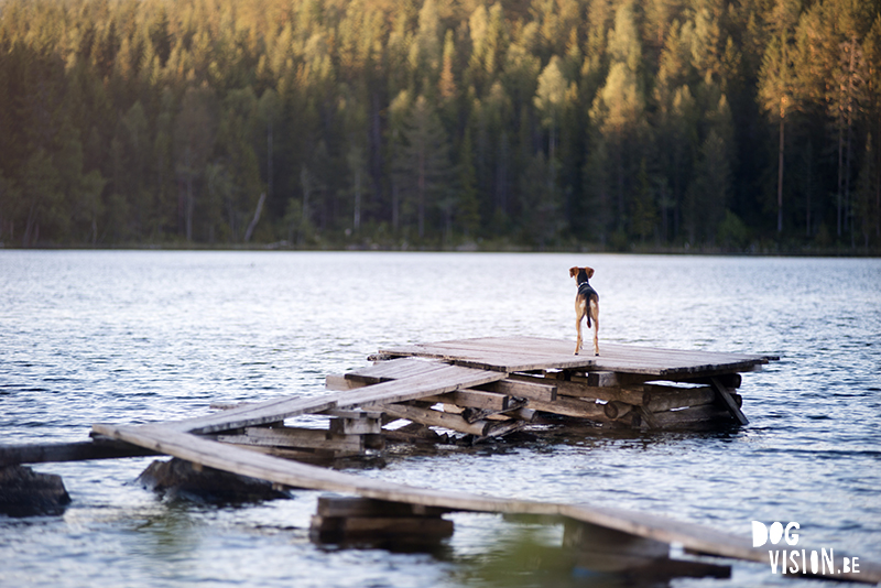 Wednesday wanderings, Fenne Kustermans photography, Belgian artist in Sweden, exploring Dalarna during covid 19, www.Fenne.be