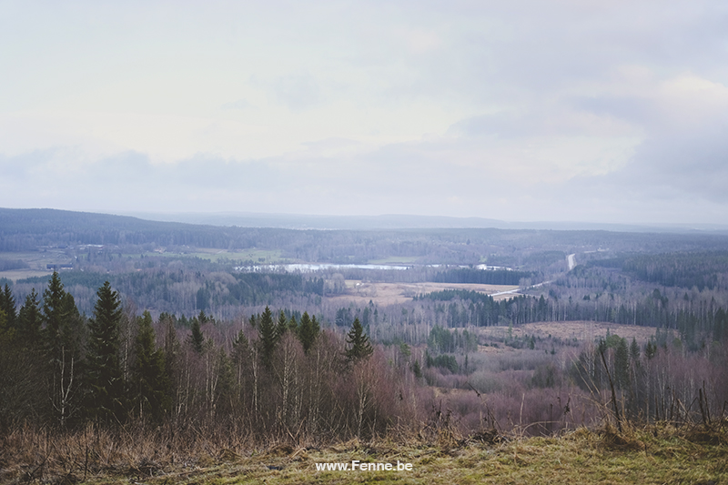 Fenne Kustermans, hiking in Sweden, naturkarta, Söderbärke/Fagersta. Nature photography, natur fotografi, www.Fenne.be