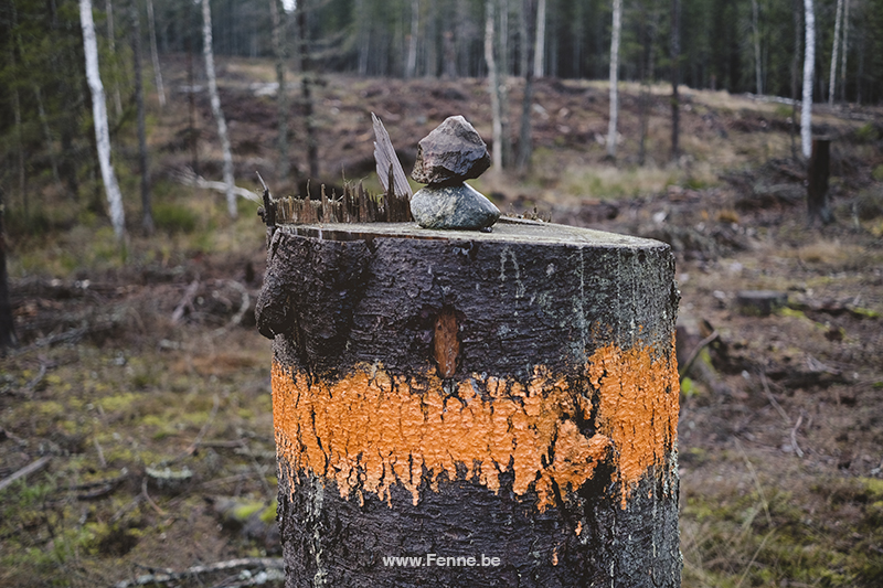Fenne Kustermans, hiking in Sweden, naturkarta, Söderbärke/Fagersta. Nature photography, natur fotografi, www.Fenne.be