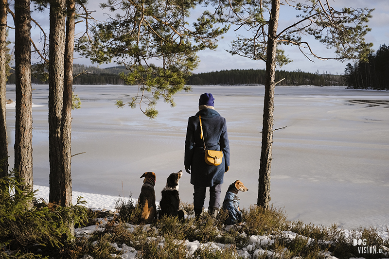 Wandering and walking in Dalarna Sweden, slow Nordic lifestyle, dog mom, nature photography. Vandra med hed, natur fotografi Sverige. www.Fenne.be