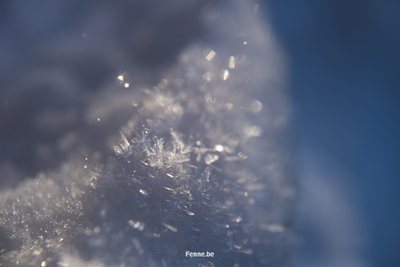 Small pleasures #1, snow crystals in winter sunlight. Nature photography, www.Fenne.be