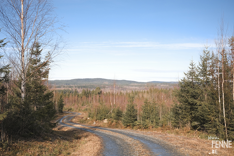 Rockhounding Sweden, looking for quarts, crystals, beautiful stones, Dalarna, stone collecting, stone collector, www.Fenne.be