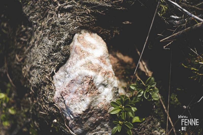 Rockhounding Sweden, looking for quarts, crystals, beautiful stones, Dalarna, stone collecting, stone collector, www.Fenne.be