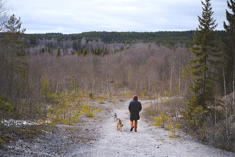 Visiting old mines in Sweden, Dalarna, hiking in Sweden, local travel, Nordic nature, Nordic lifestyle, www.Fenne.be