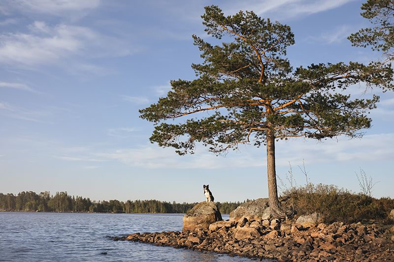 Ecomuseum Bergslagen: Finngården Skifsen, Dalarna, Sweden, travel, www.Fenne.be