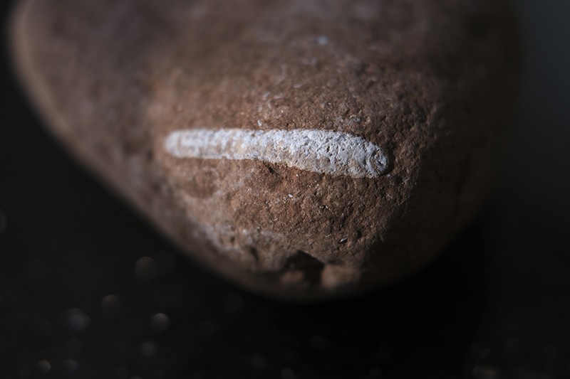 Rocky beach in Sweden, fossils, stone beach, resa i sverige, bilturer, Billudden Uppsala, www.Fenne.be