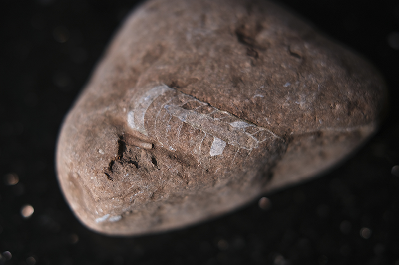 Rocky beach in Sweden, fossils, stone beach, resa i sverige, bilturer, Billudden Uppsala, www.Fenne.be