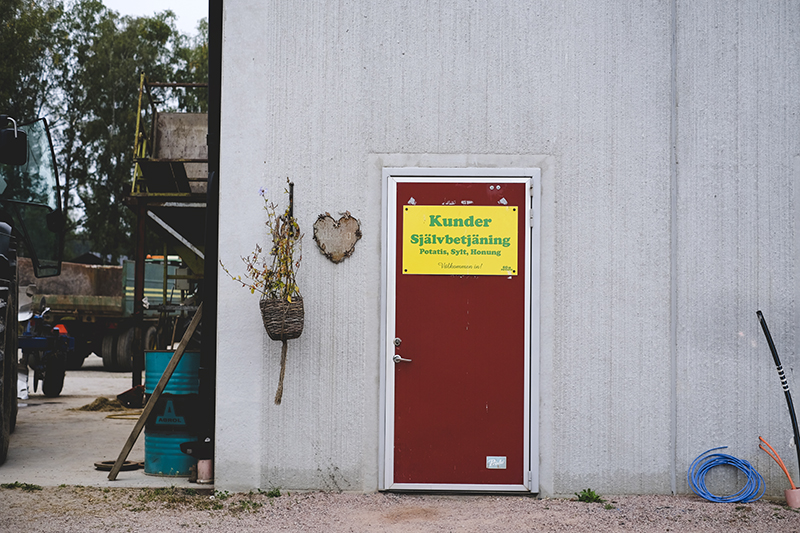 Serafina potatoes from Hedemora, countryside life, country living, Sweden, www.Fenne.be