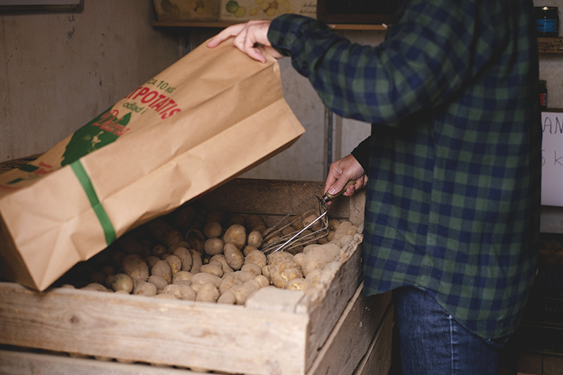 Serafina potatoes from Hedemora, countryside life, country living, Sweden, www.Fenne.be