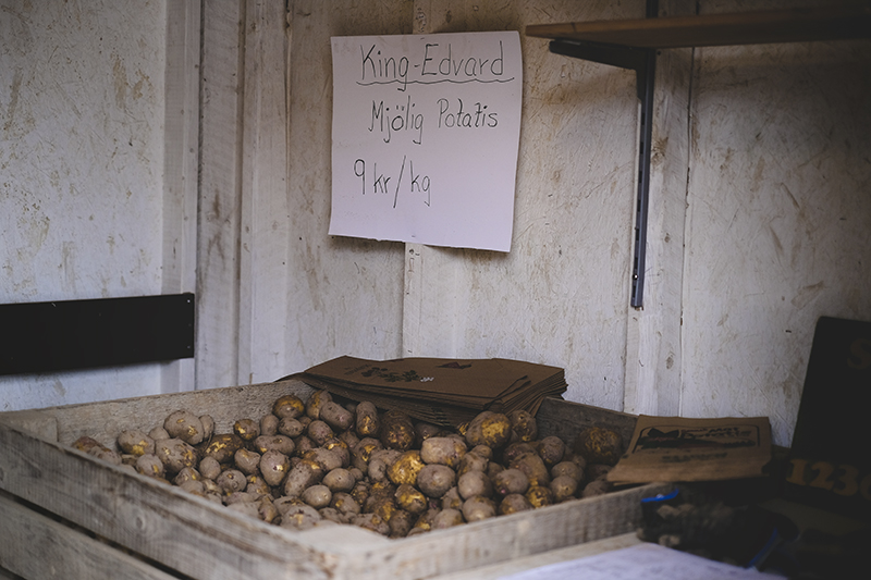 Serafina potatoes from Hedemora, countryside life, country living, Sweden, www.Fenne.be