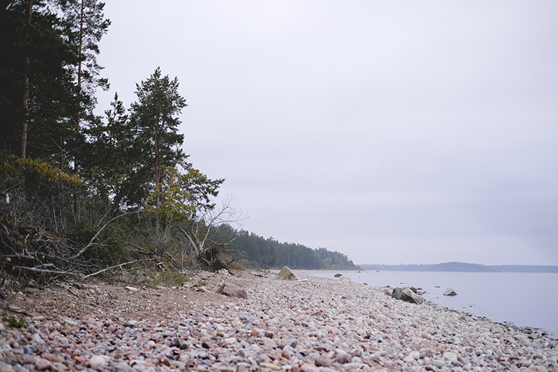 Rocky beach in Sweden, fossils, stone beach, resa i sverige, bilturer, Billudden Uppsala, www.Fenne.be
