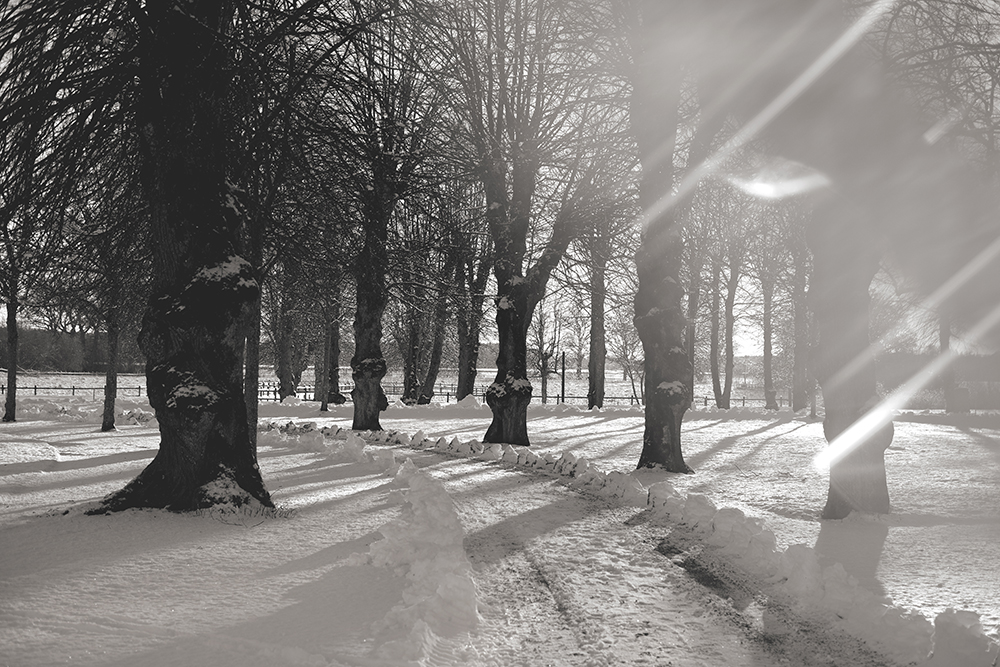 Strömsholm palace Västerås in winter with snow. Baroque castle Sweden, www.Fenne.be