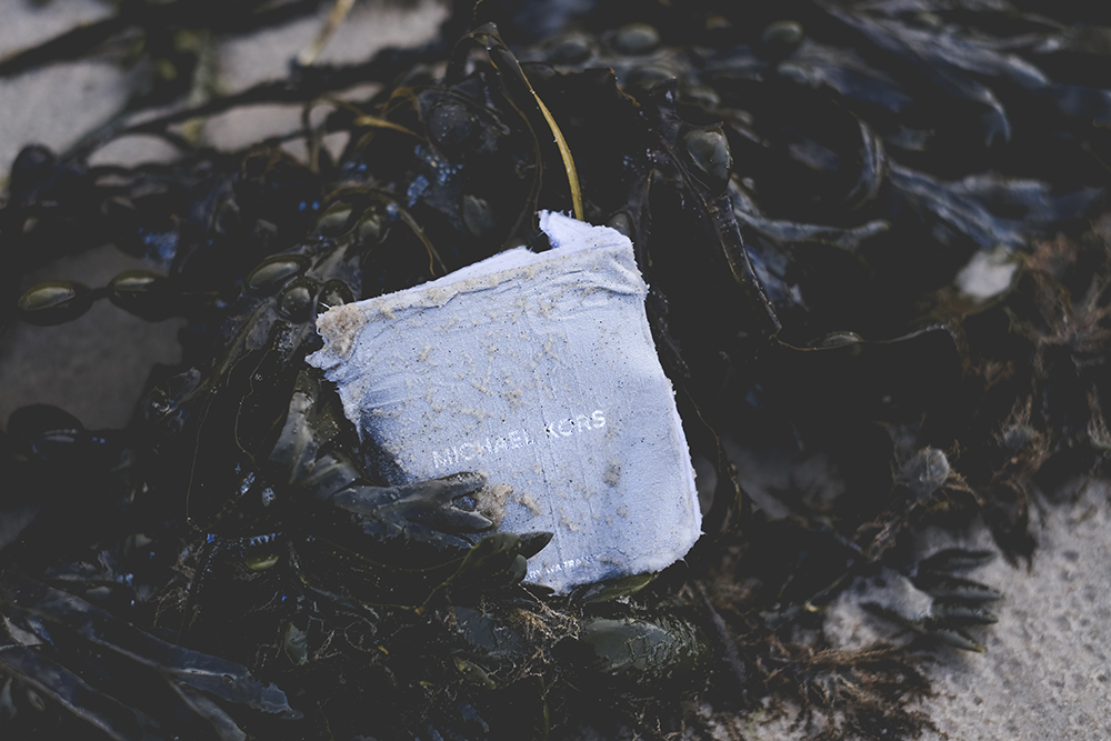 Beachcombing, strandjutten, Denmark, Nord Jutland, bones, corona bottle, seaweed, amber, Michael Kors earrings, www.Fenne.be