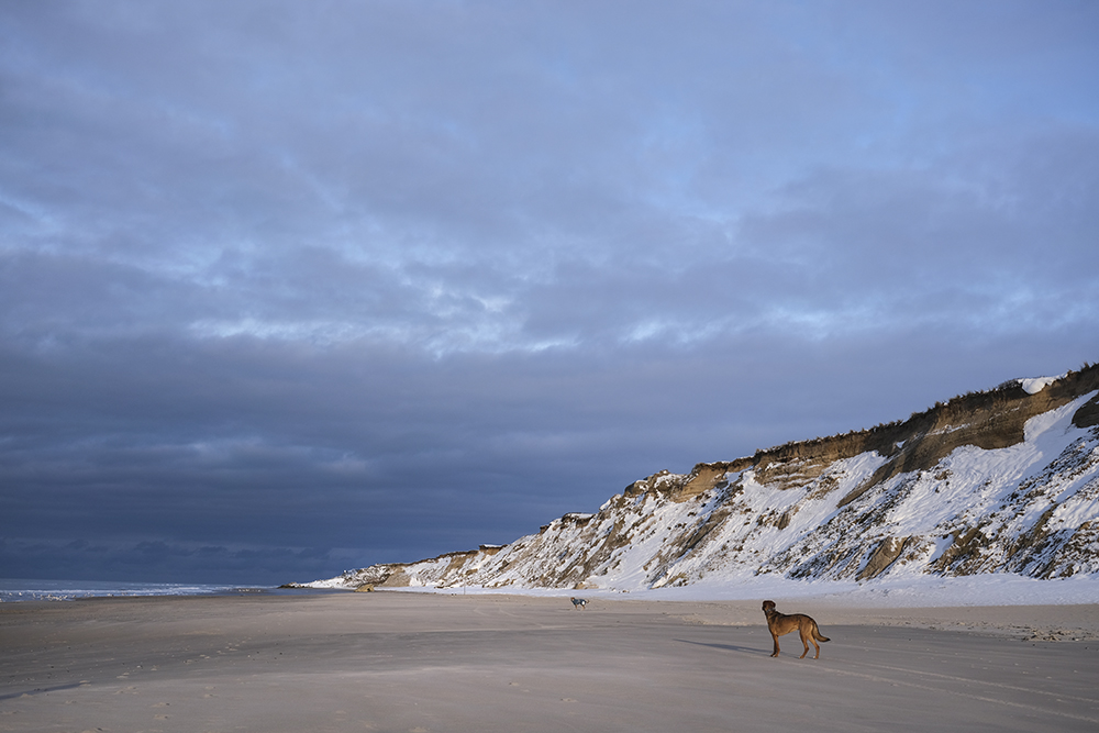 Beachcombing, strandjutten, Denmark, Nord Jutland, bones, corona bottle, seaweed, amber, Michael Kors earrings, www.Fenne.be