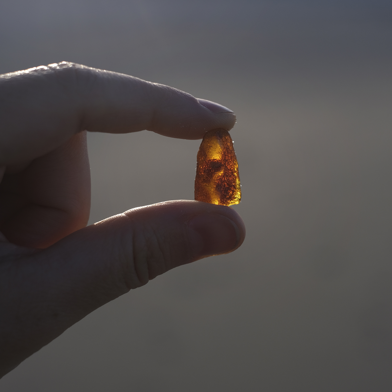 Beachcombing, strandjutten, Denmark, Nord Jutland, bones, corona bottle, seaweed, amber, Michael Kors earrings, Baltic amber, rav, www.Fenne.be