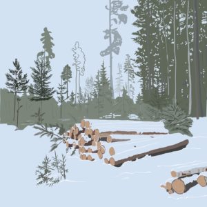 Fenne Kustermans, digital illustration drawing, Nordic nature scene with snow. www.Fenne.be