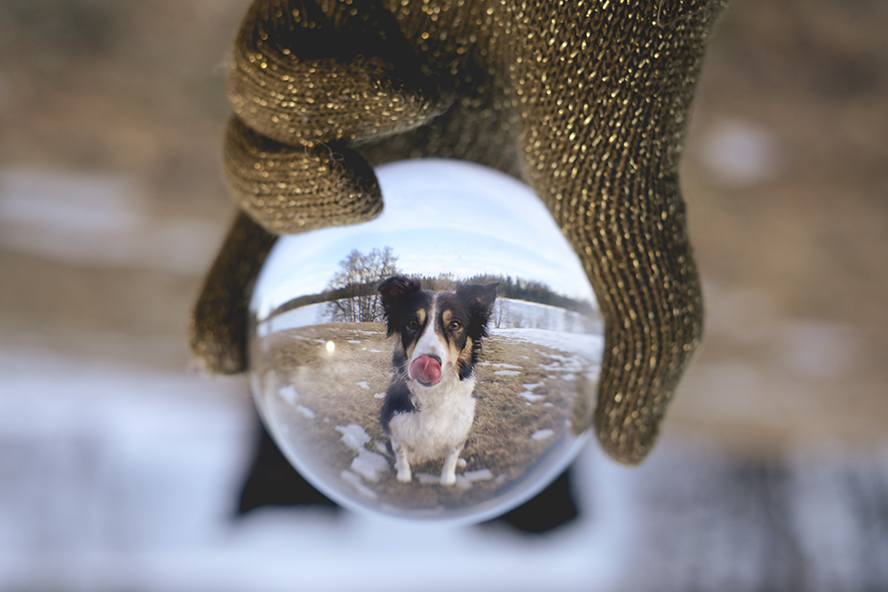 Crystal glass ball nature photography, Nordic nature, Nordic winter, creative outdoor photography, www.Fenne.be